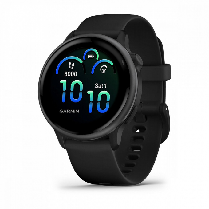 Умные часы GARMIN VIVOACTIVE 6 Slate With Black Band 010-02985-00
